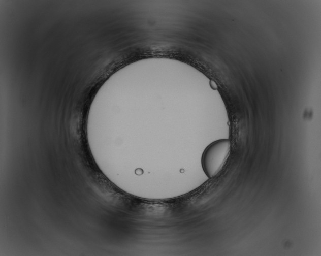 X0000100890698200807220952