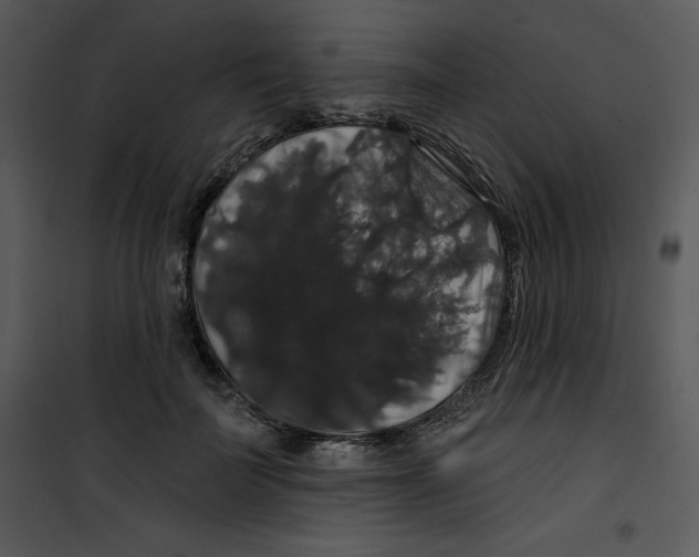 X0000100890699200807220952