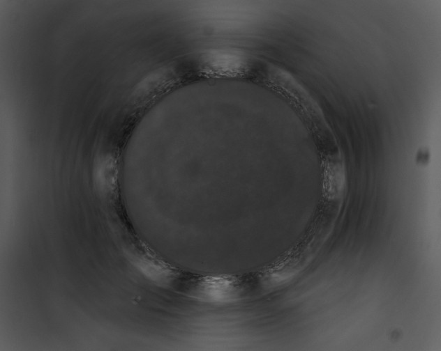 X0000100890701200807220952