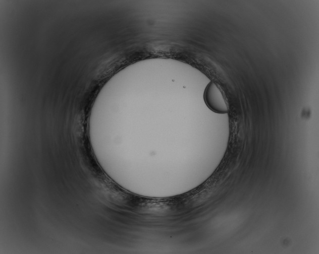 X0000100890702200807220952