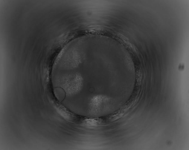 X0000100890703200807220952