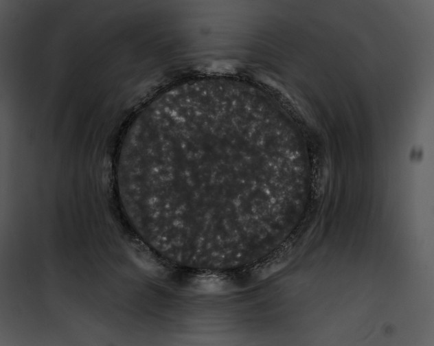 X0000100890704200807220952