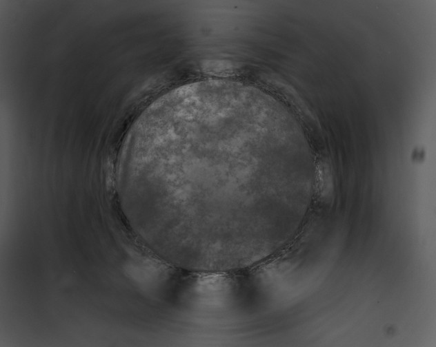 X0000100890705200807220952