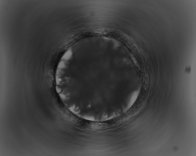 X0000100890707200807220952