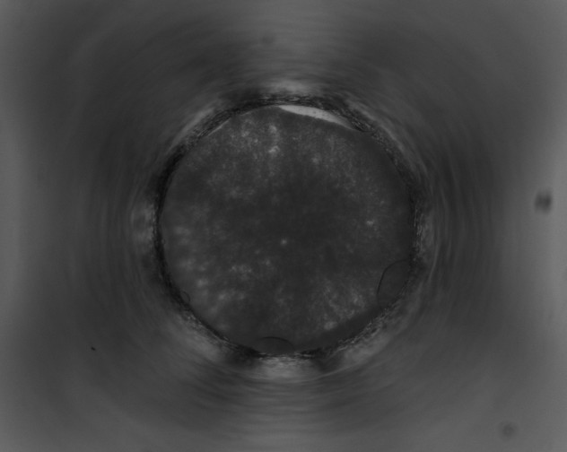 X0000100890708200807220952