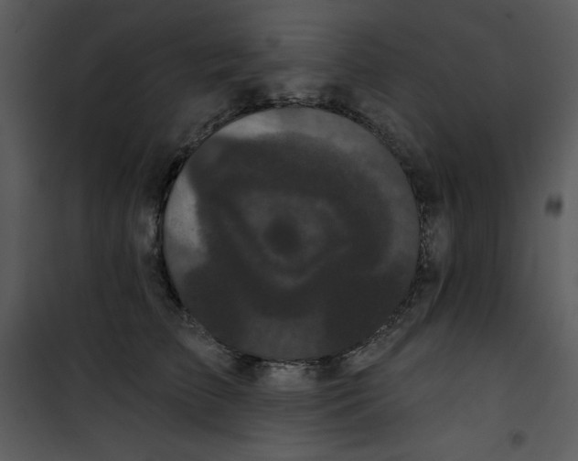 X0000100890709200807220951