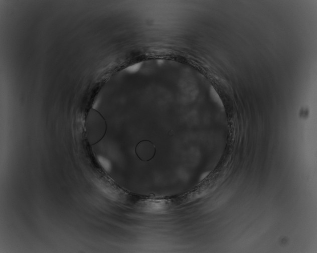 X0000100890711200807220951