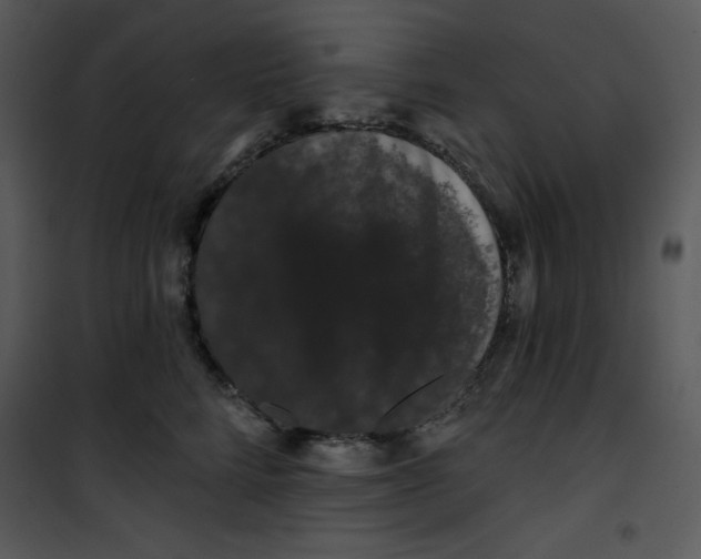 X0000100890712200807220951