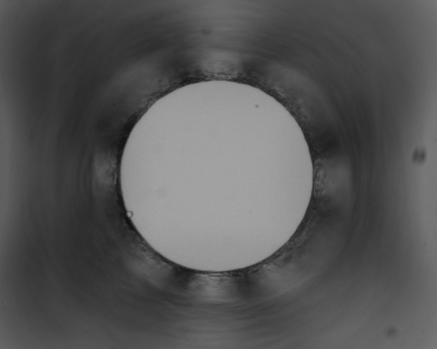 X0000100890713200807220951