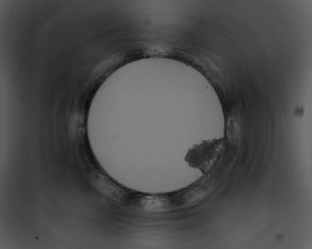 X0000100890714200807220951