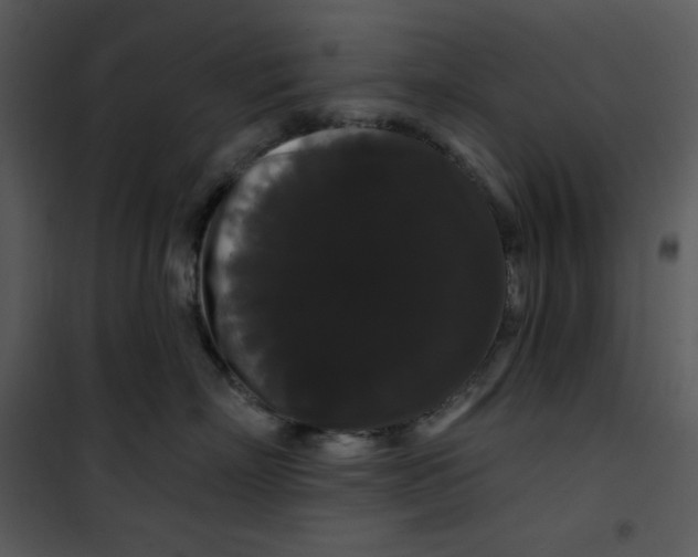 X0000100890718200807220951