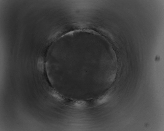 X0000100890720200807220951