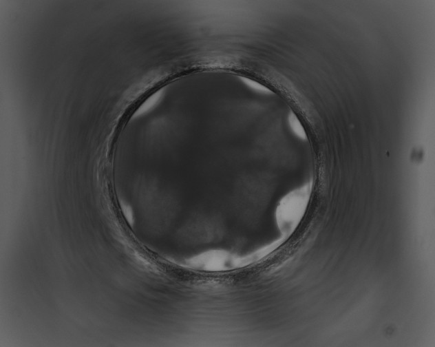 X0000100890721200807220951