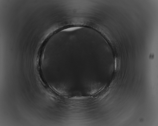 X0000100890723200807220951