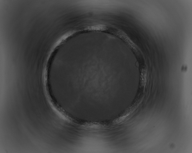 X0000100890726200807220951