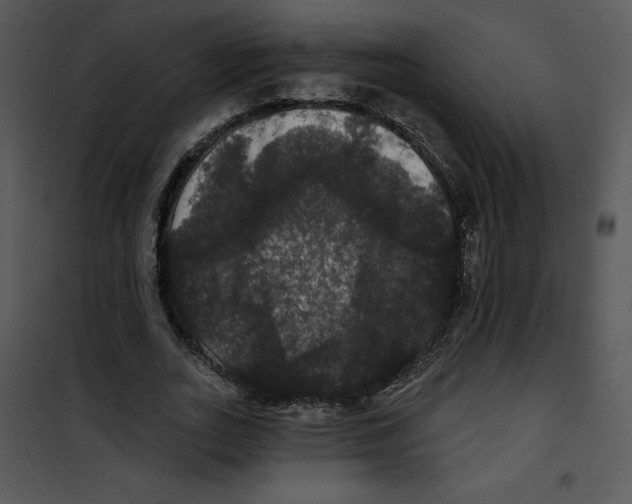 X0000100890727200807220951