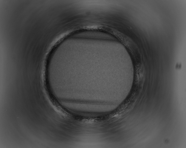 X0000100890728200807220951