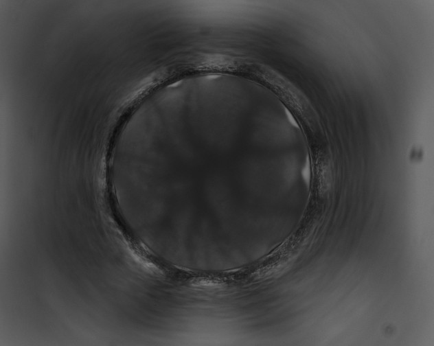 X0000100890729200807220951