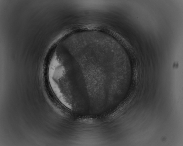 X0000100890730200807220951