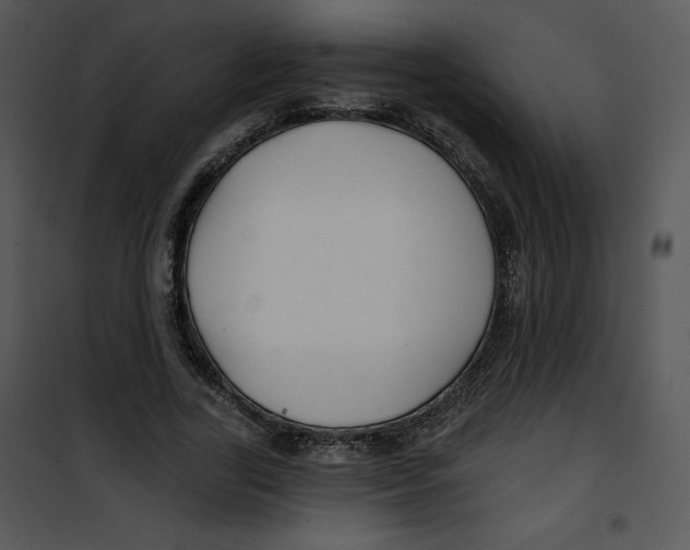 X0000100890731200807220951