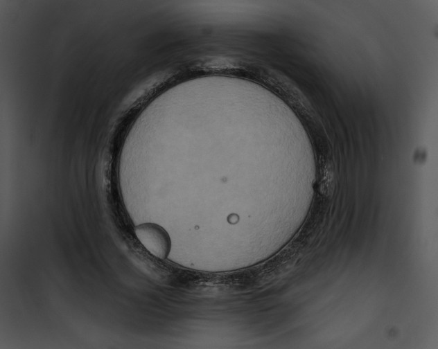 X0000100890732200807220951