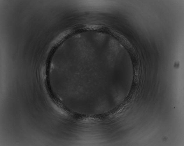 X0000100890734200807220951