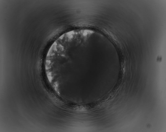 X0000100890735200807220951