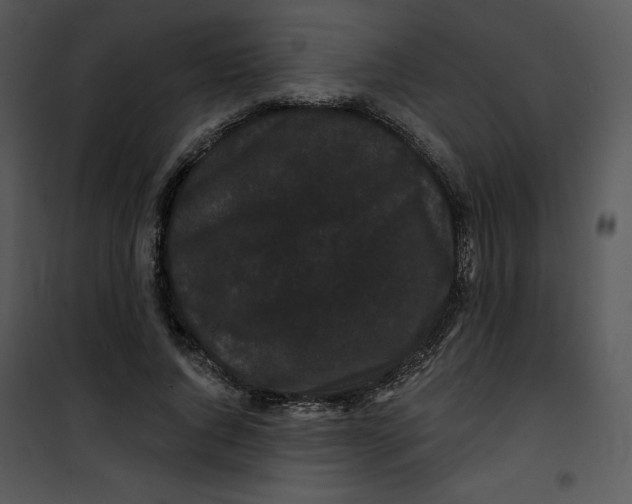 X0000100890736200807220951