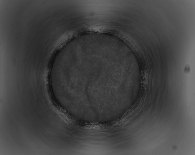 X0000100890738200807220951