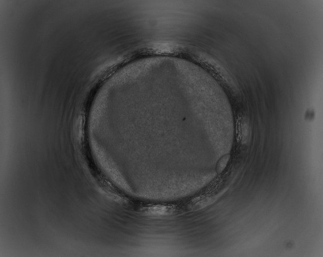 X0000100890740200807220951