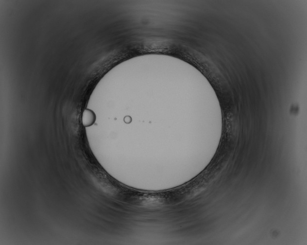 X0000100890741200807220951