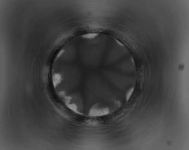 X0000100890742200807220951