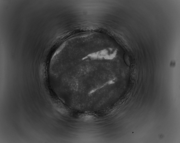 X0000100890743200807220951