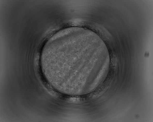 X0000100890744200807220951