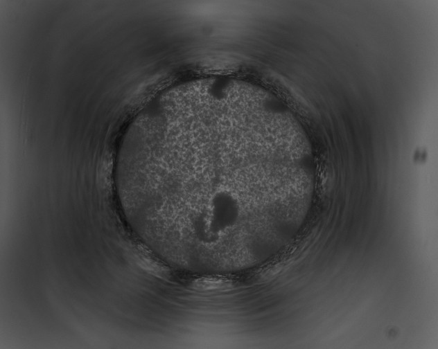 X0000100890745200807220951