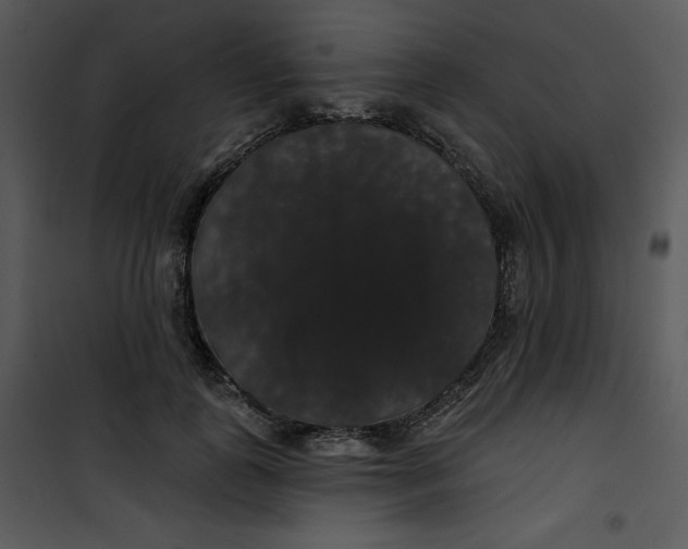 X0000100890747200807220951