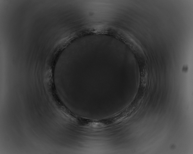 X0000100890748200807220951