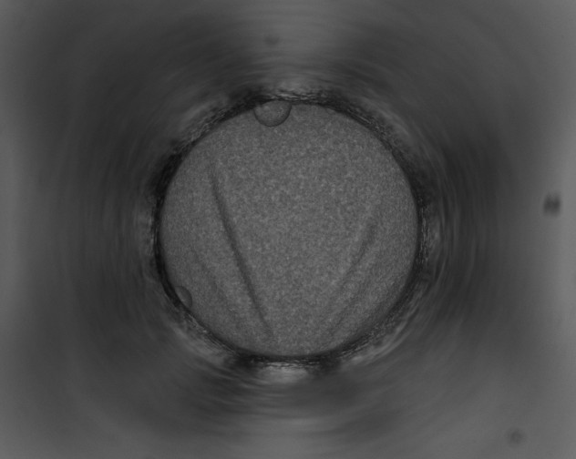 X0000100890749200807220951