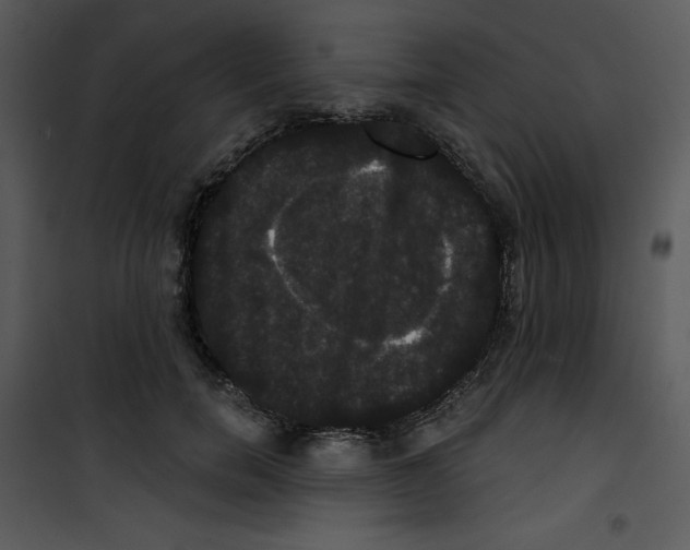 X0000100890750200807220951