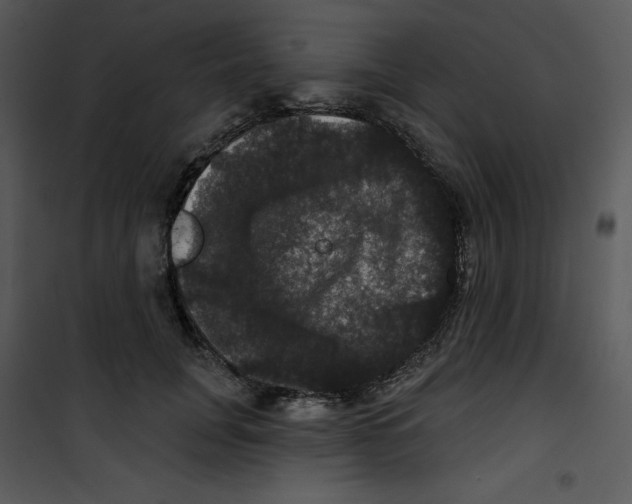 X0000100890751200807220951