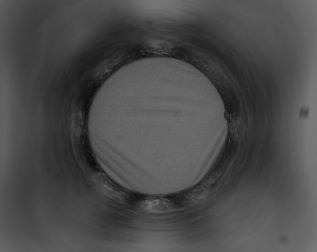 X0000100890752200807220951