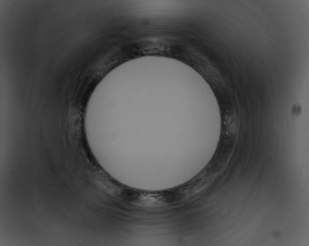 X0000100890753200807220951