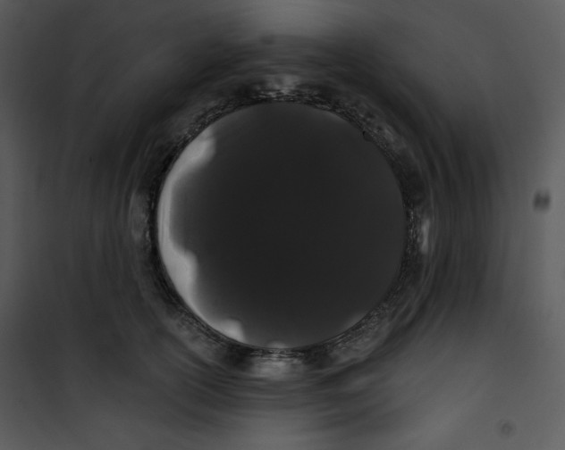 X0000100890754200807220951