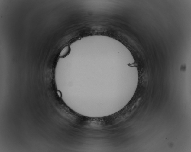 X0000100890756200807220951