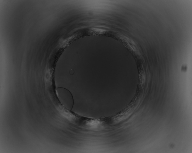 X0000100890759200807220951