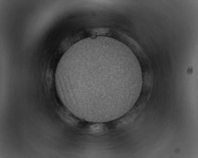 X0000100890761200807220951