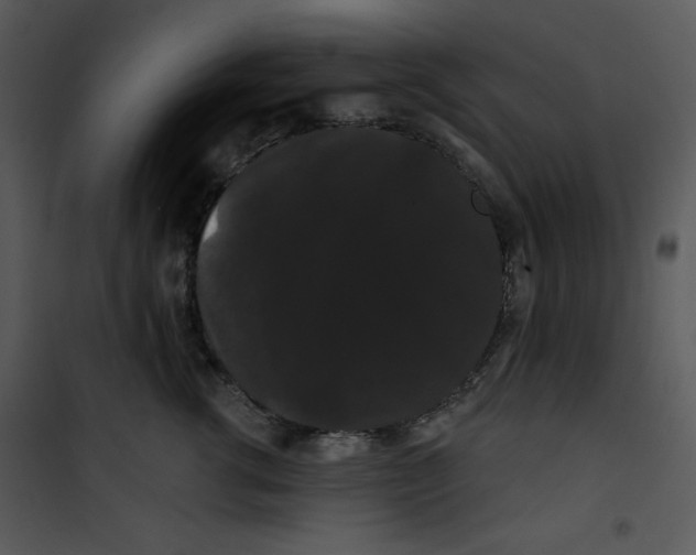 X0000100890762200807220951