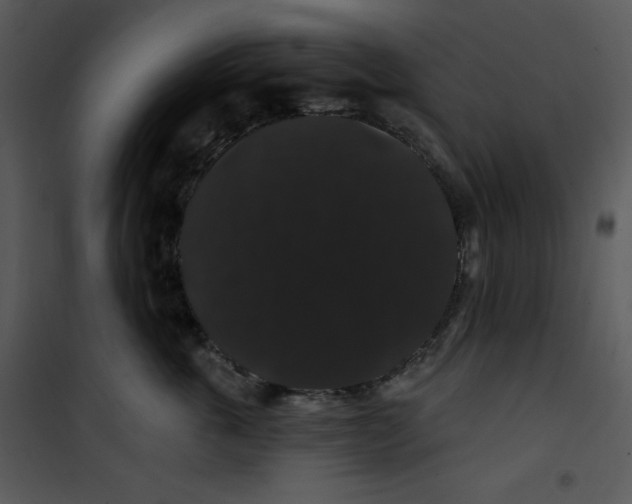 X0000100890763200807220951