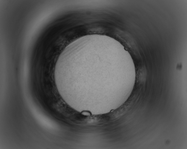 X0000100890764200807220951