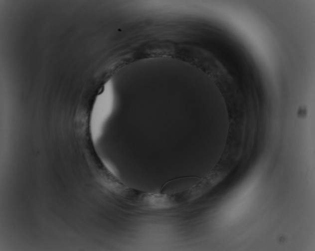 X0000100890767200807220951